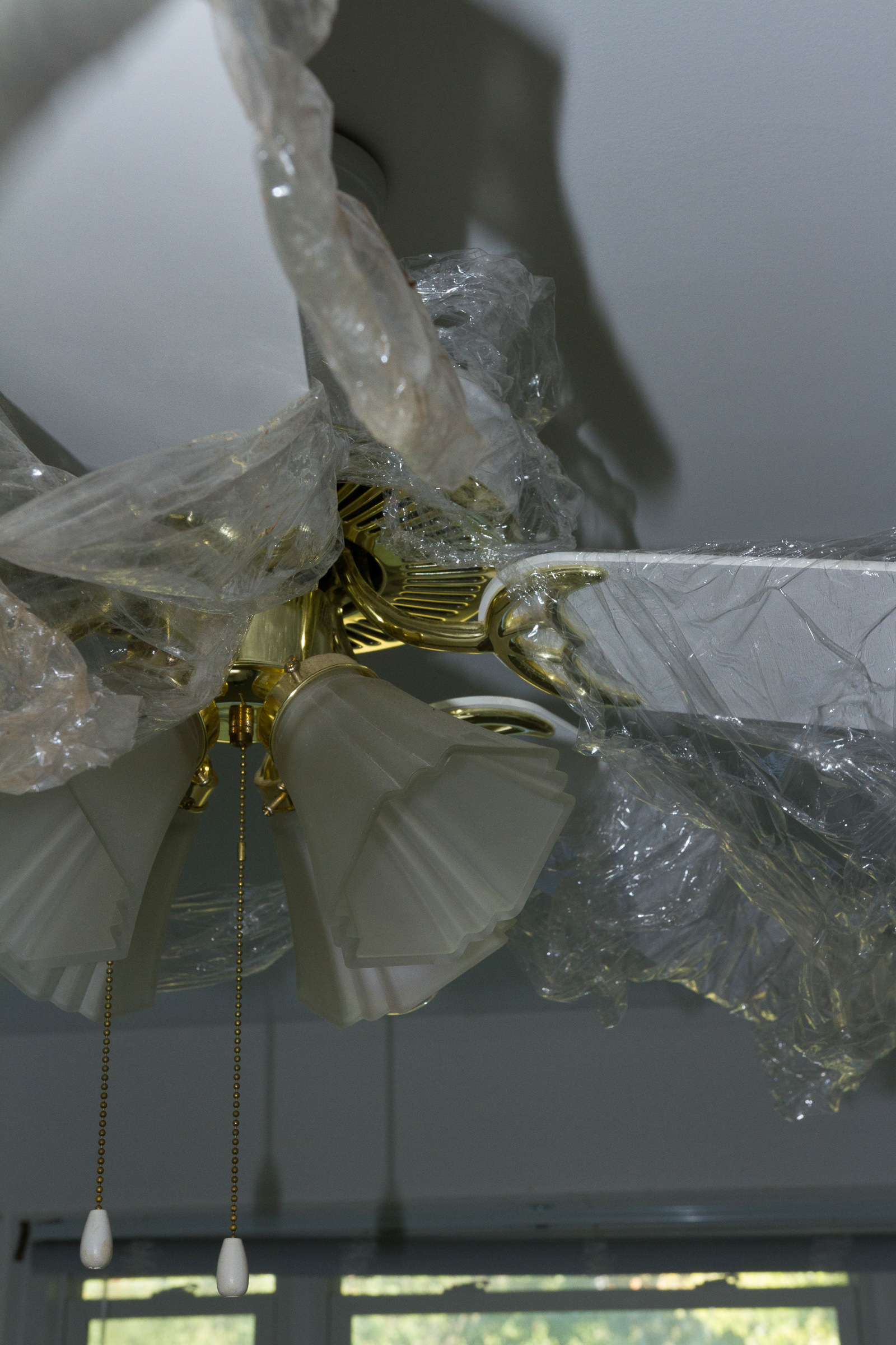 Selected photograph 8